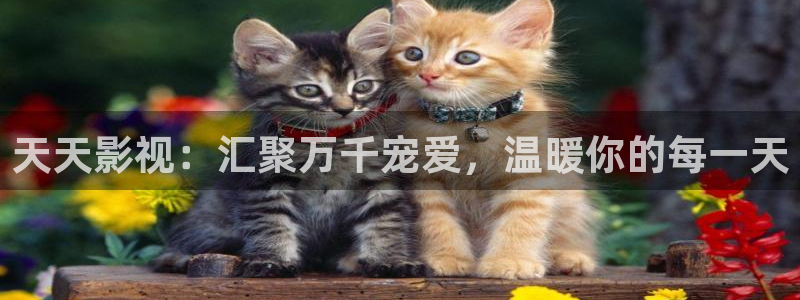 青苹果乐园影院yy6090