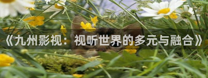 4410青苹果乐园电视剧高清在线观看