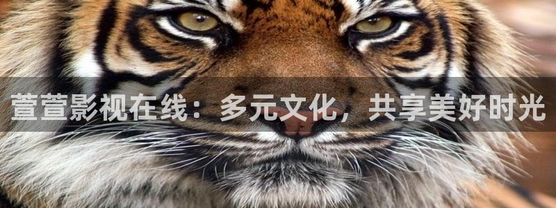 青苹果乐园在线高清观看免费
