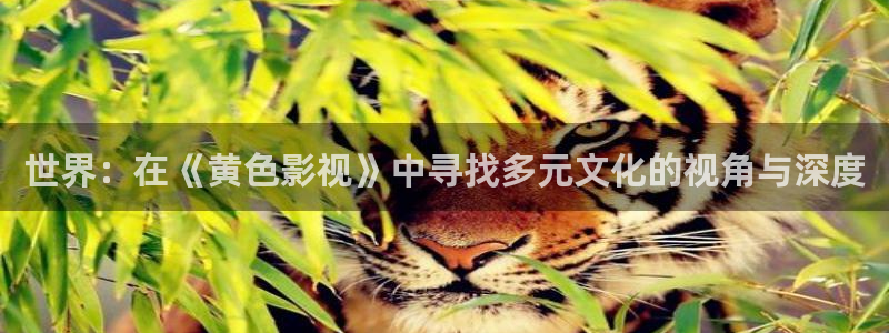 yy6090青苹果乐园