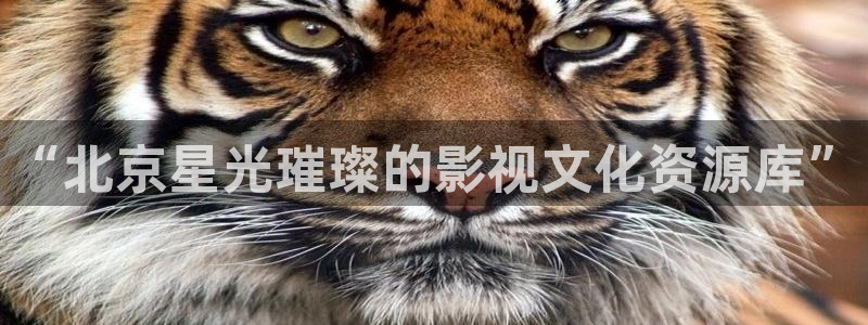 青苹果影院在线免费