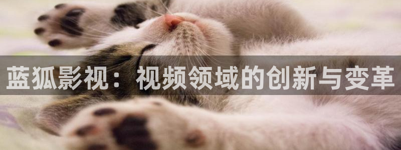 青苹果电视剧在在线观看