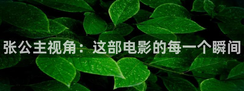 青苹果乐园影视免费观看电视剧下载
