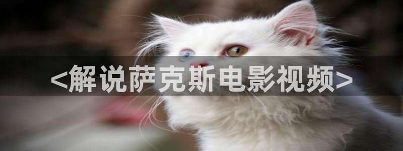 青苹果观看
