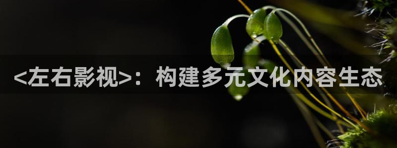 青苹果tv