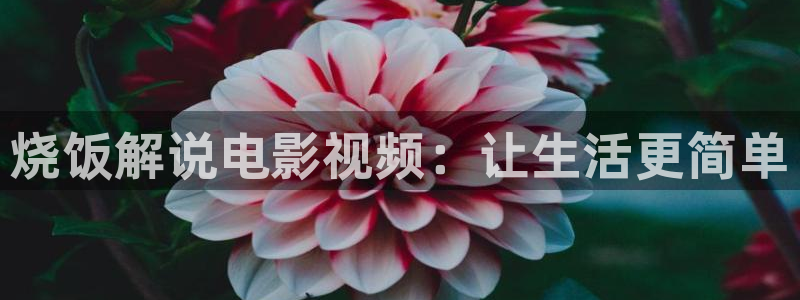 4480官网青苹果影视