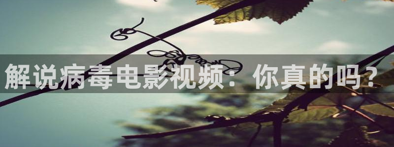 新闻图片